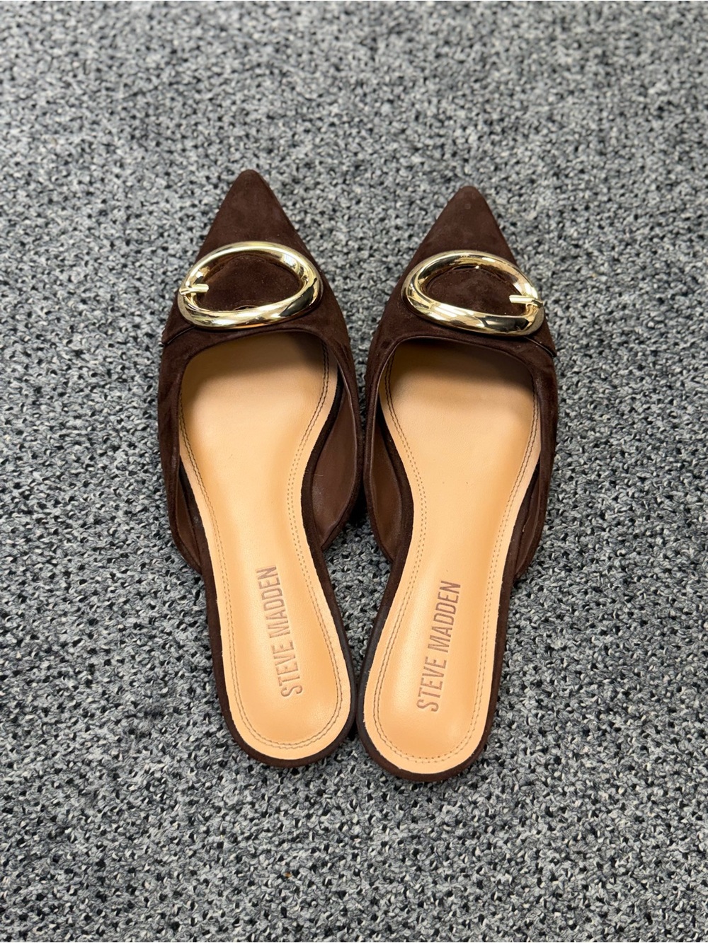 Steve Madden Dark Brown Suede Pointed Slip-On Mules with Gold Buckle